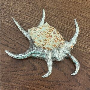 Vintage (Palm Springs) - Decorative Seashell